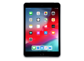 iPad mini 5 (Cellular)