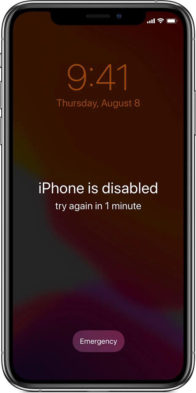 iPhone 7 Disabled
